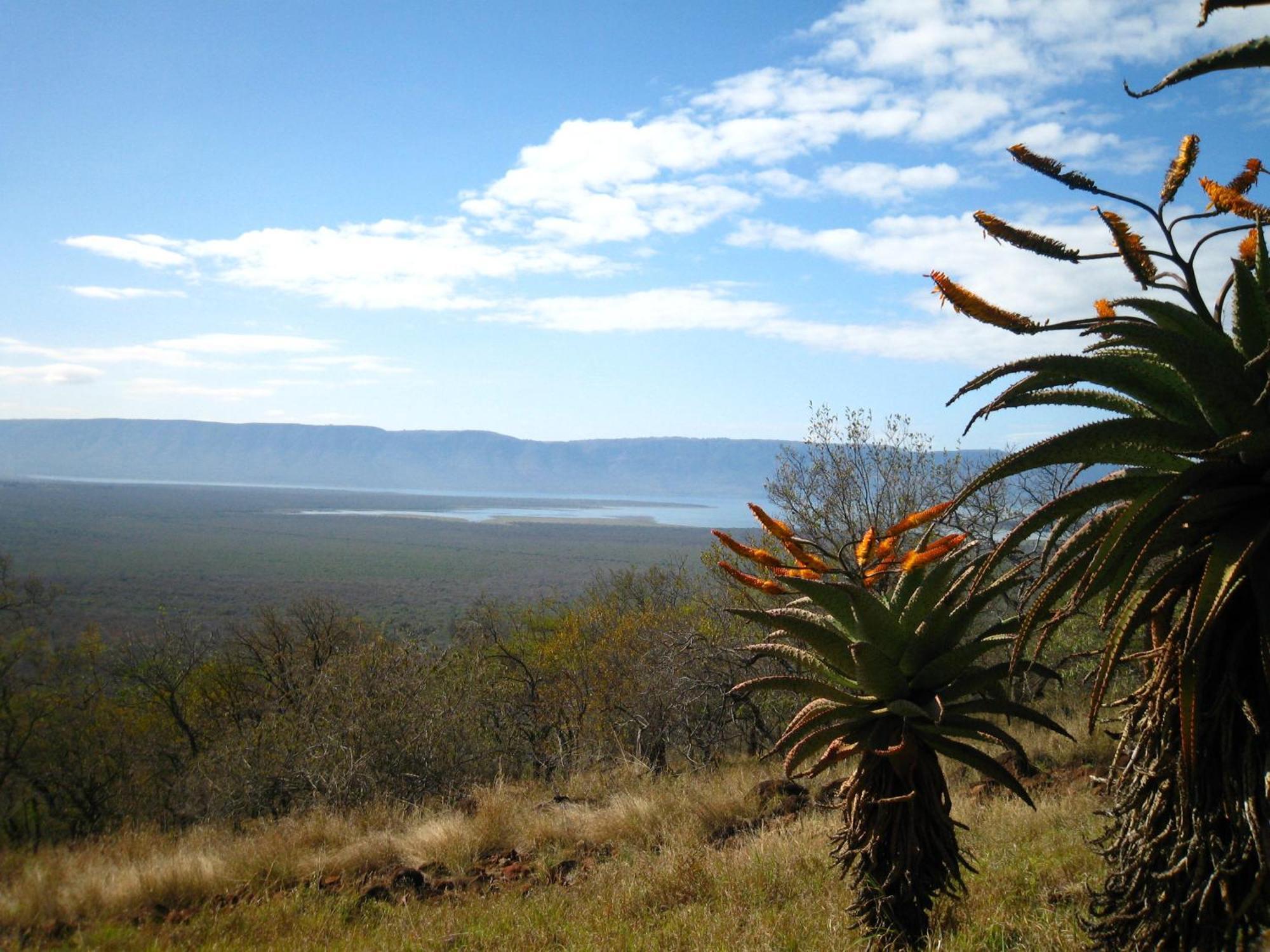 Shayamoya Tiger Fishing And Game Lodge Pongola Exterior photo